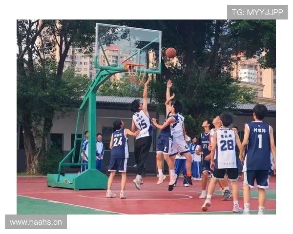 详细解析篮球比赛中球出界判定规则的具体执行标准与依据
