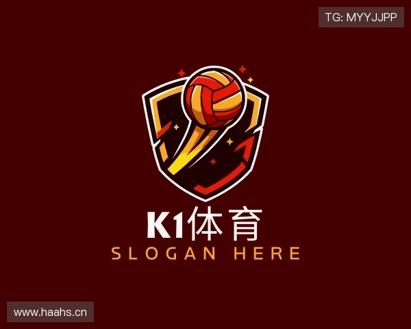 介绍K1体育